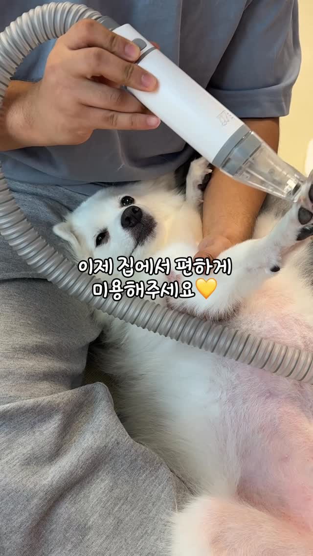아주르플라워 여름학기 클래스