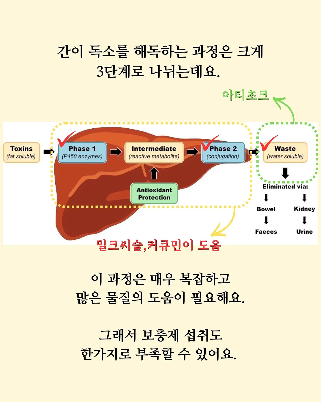 데님 탑 셋트 3