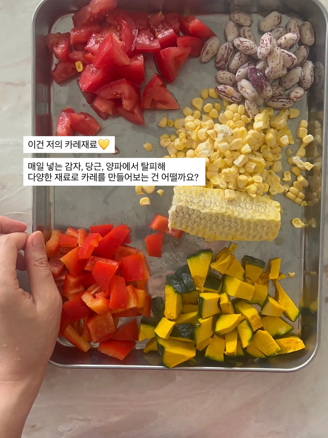 메밀소바 10인분 7