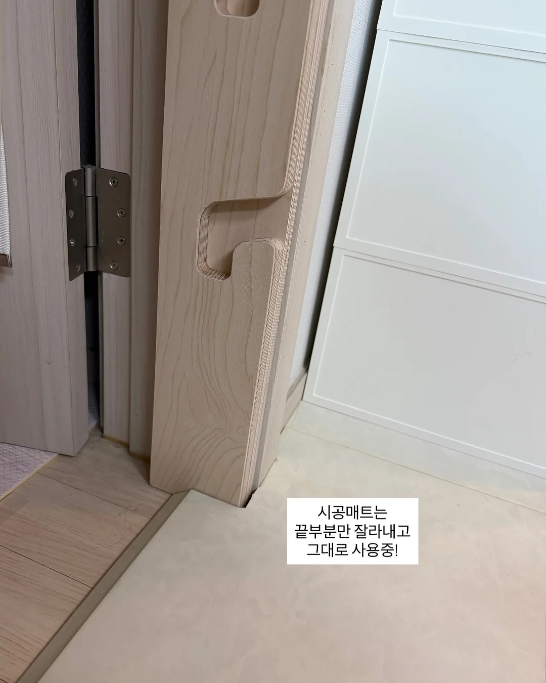 통영 생갈치 13