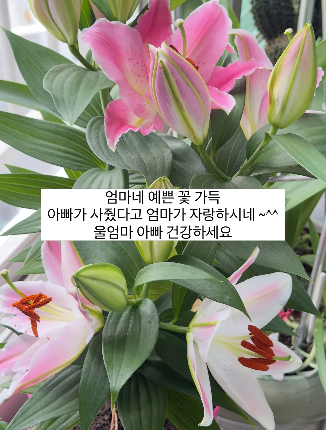 모모의숲 숙소 4