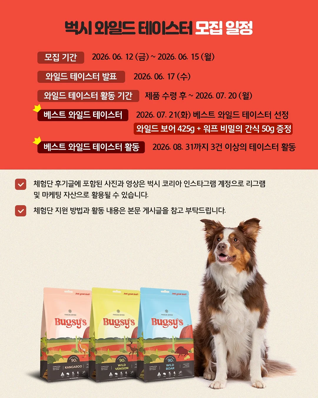 야쿠시마 트립 2