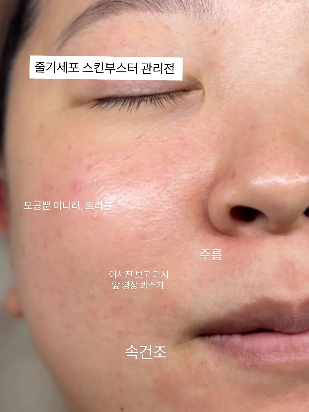 참 좋은 어린이 도감 4