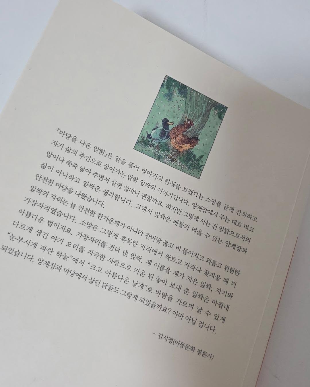 썸머스모크세트 14