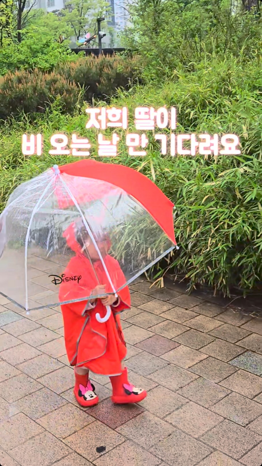 루자매 커리큘럼