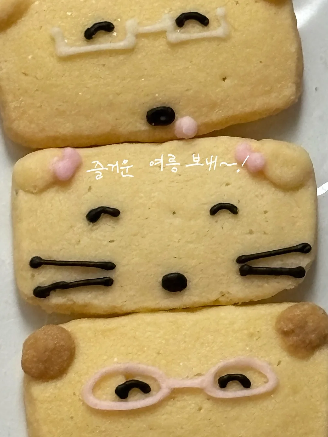 실외기 커버 11