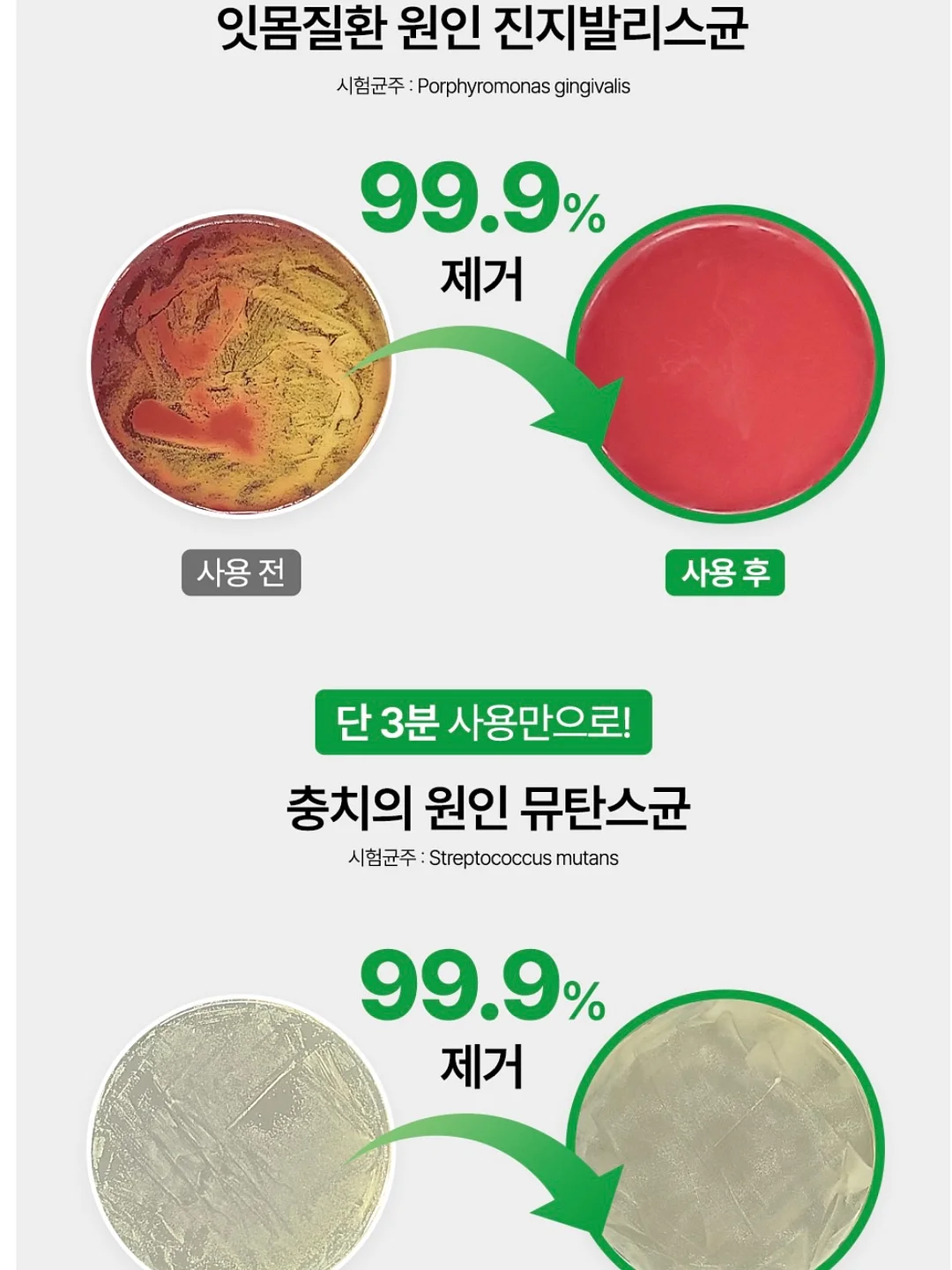 라피아햇 11