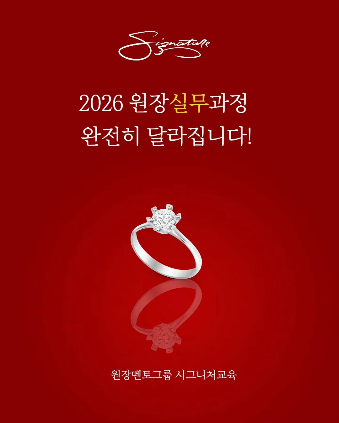 실크초콜릿플라워 심화 수업 1