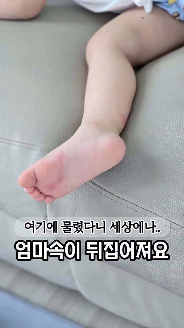 치아보험 청구