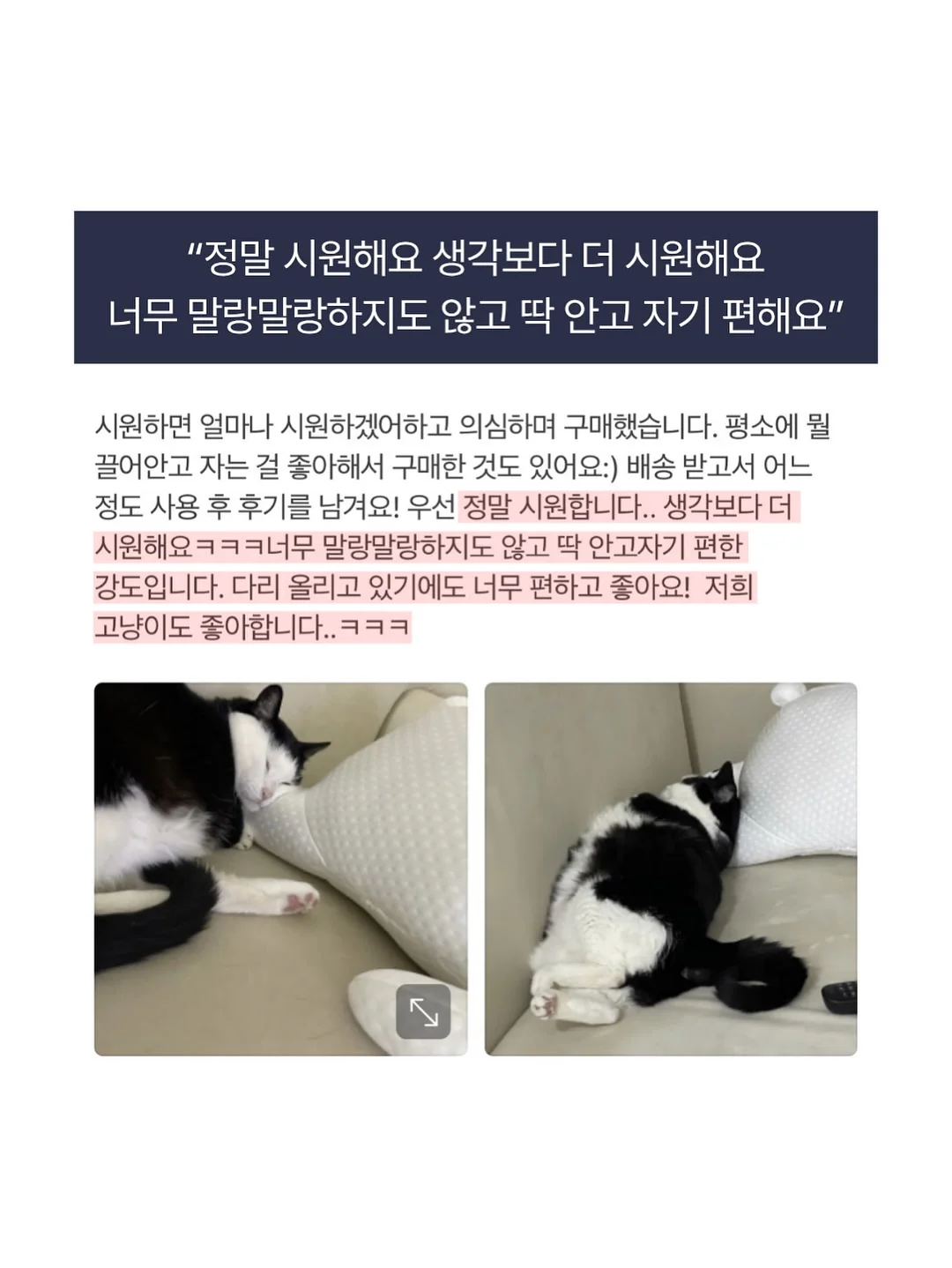 테크니스트 신상 라켓 12