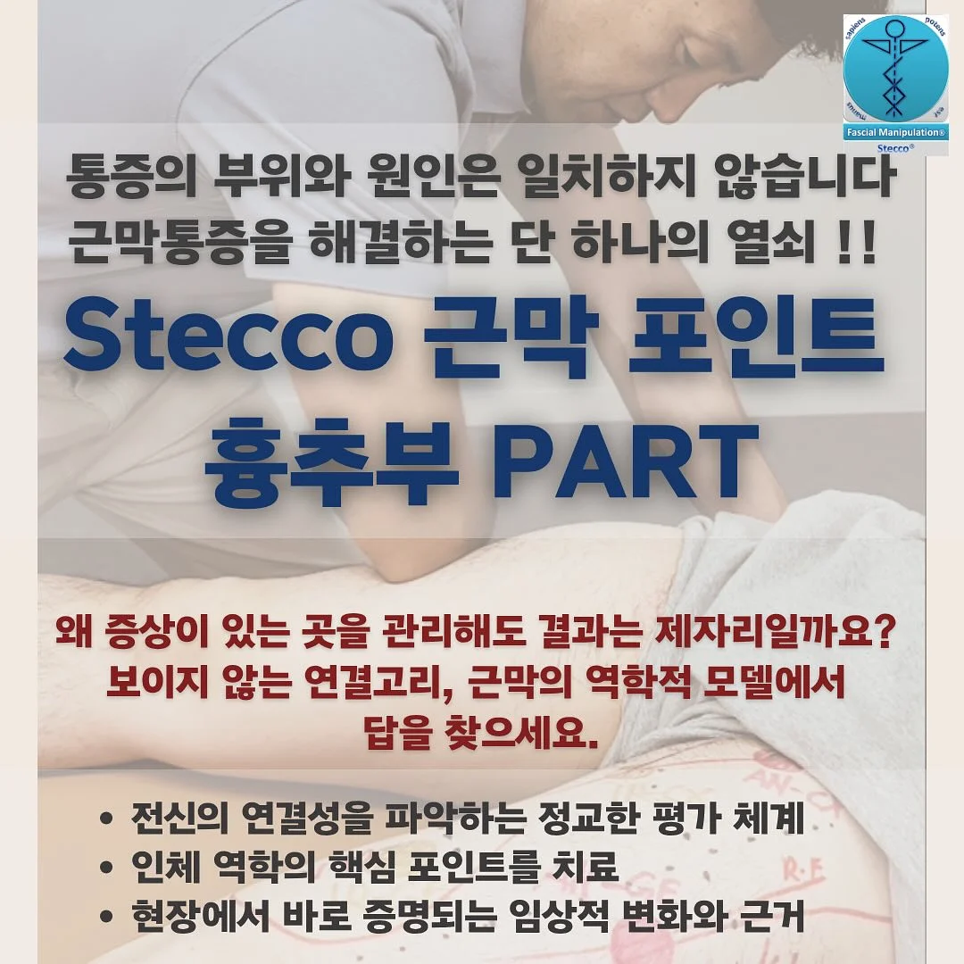 더웨깅블루 목줄 리드줄 하네스 1