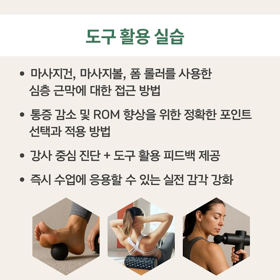 더웨깅블루 목줄 리드줄 하네스 7