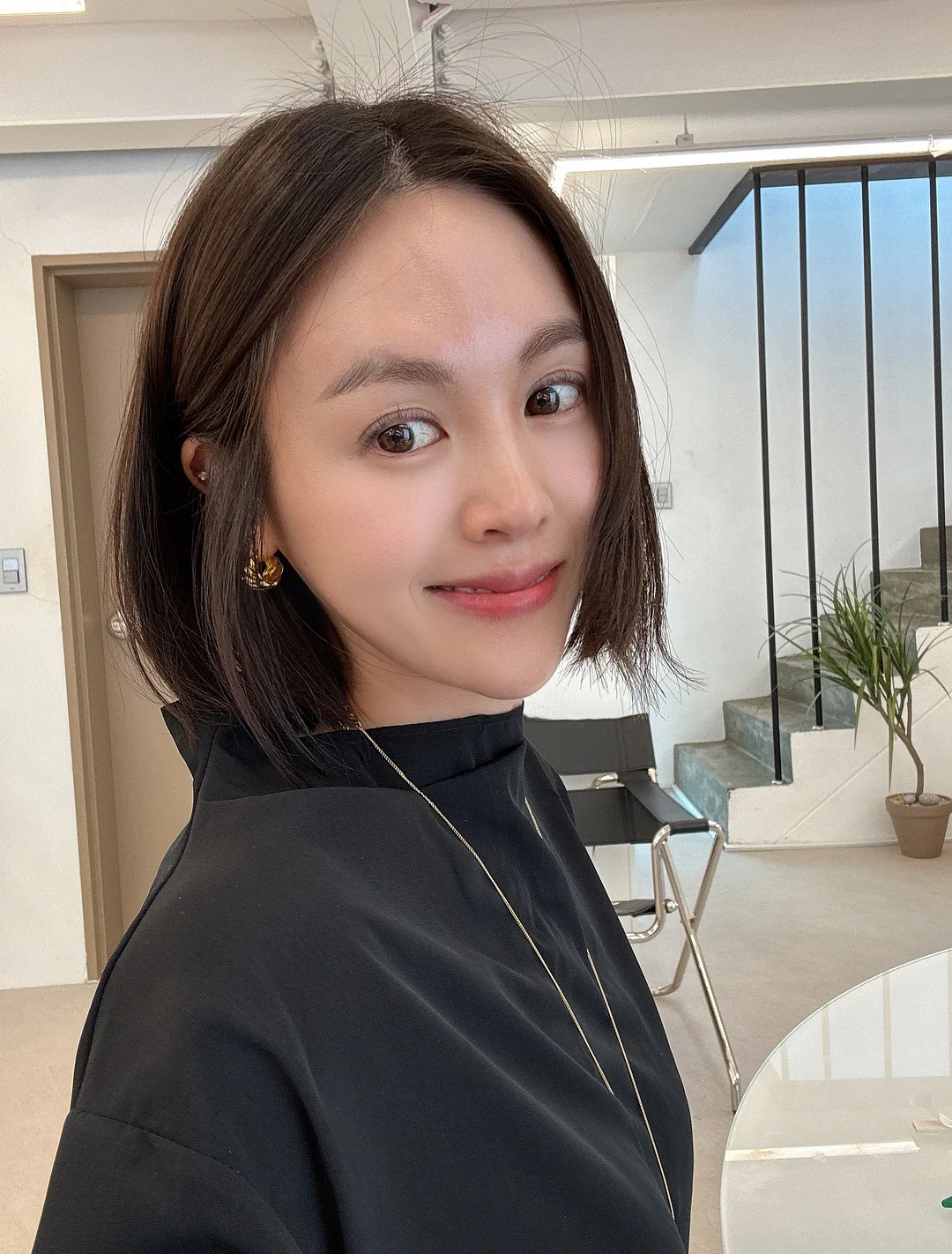 반려동물 털 제거기 11