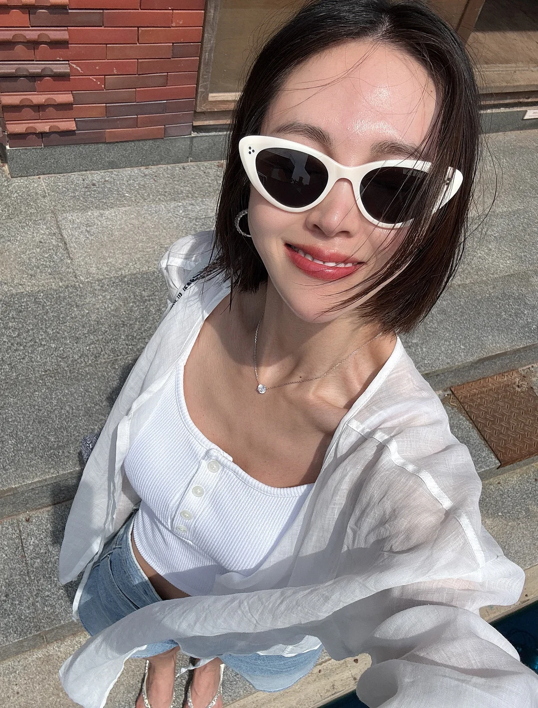 반려동물 털 제거기 12
