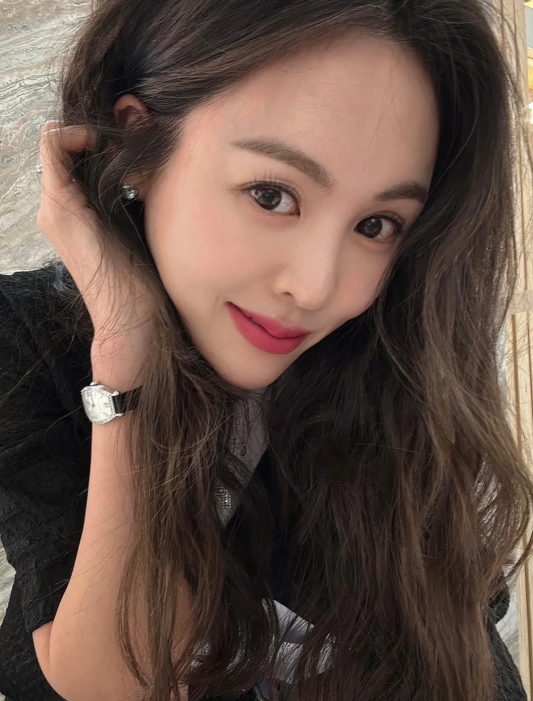 반려동물 털 제거기 2