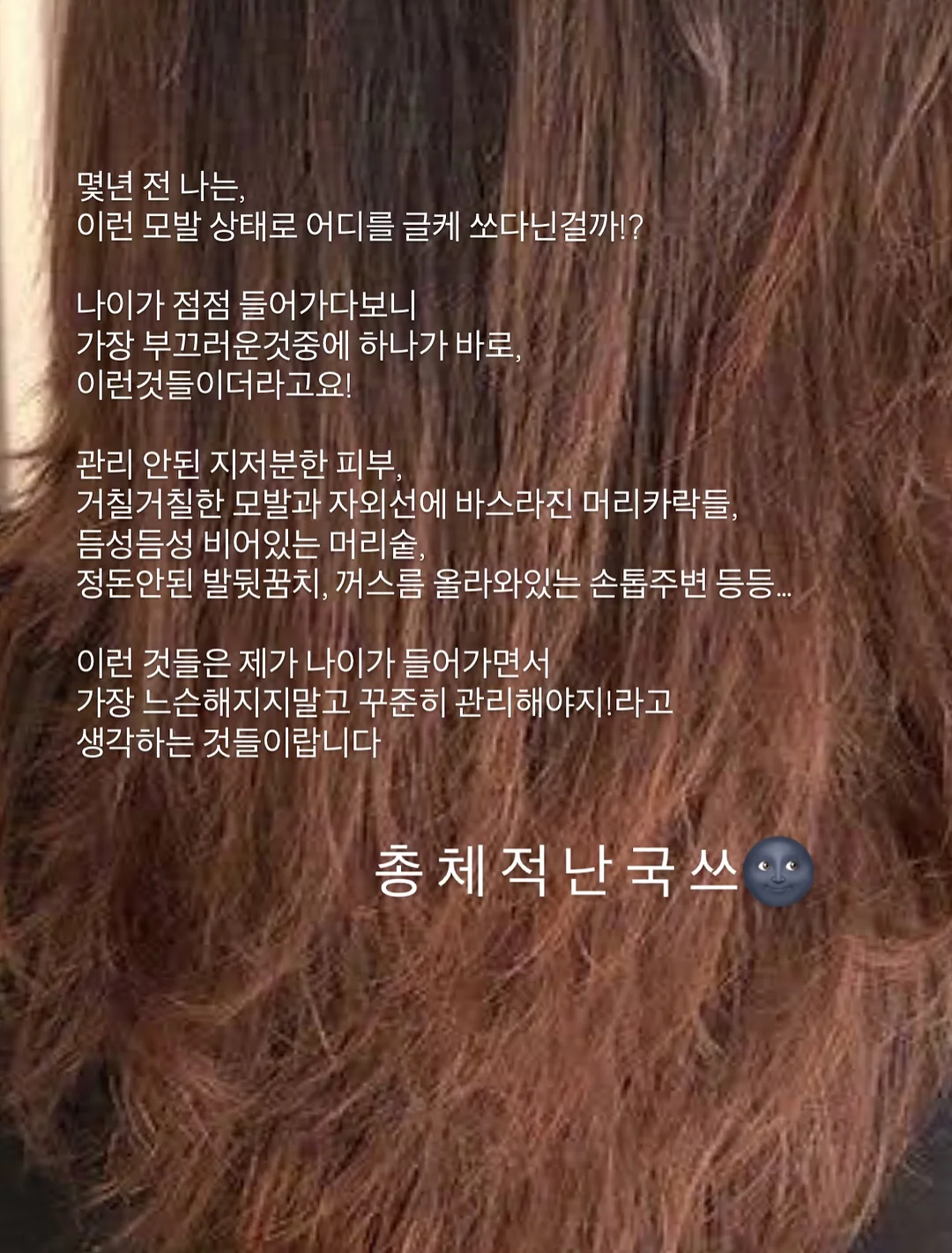반려동물 털 제거기 3