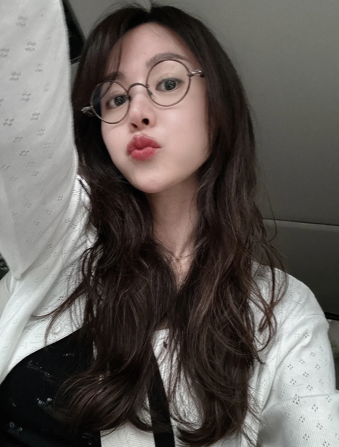 반려동물 털 제거기 10