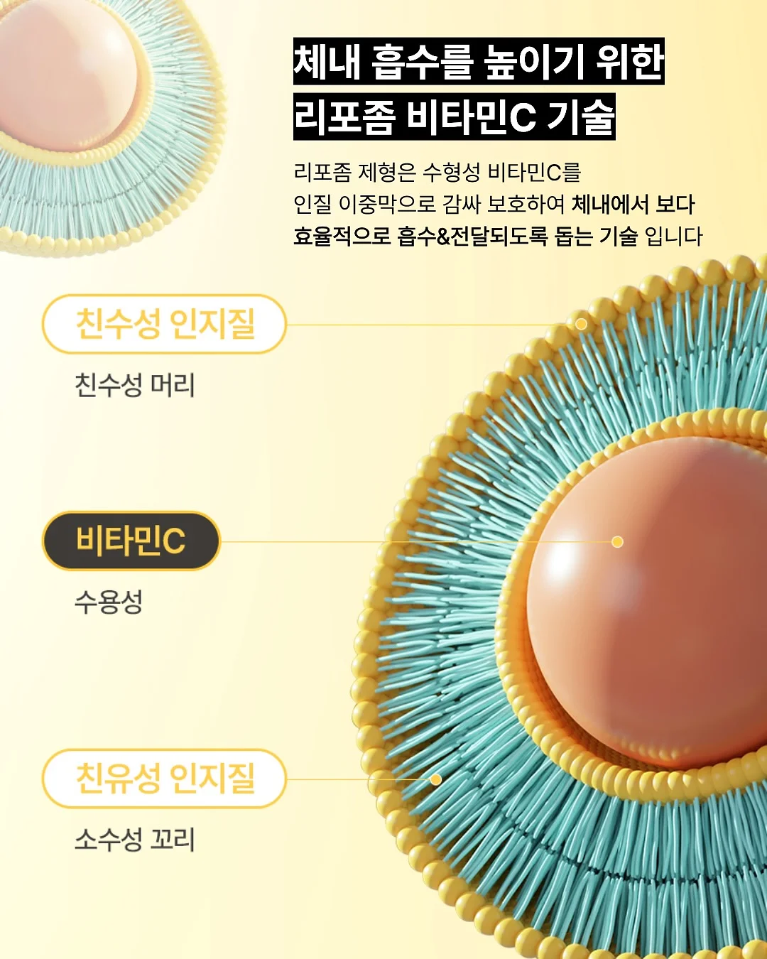 무전원 펌프식 쵸퍼 11