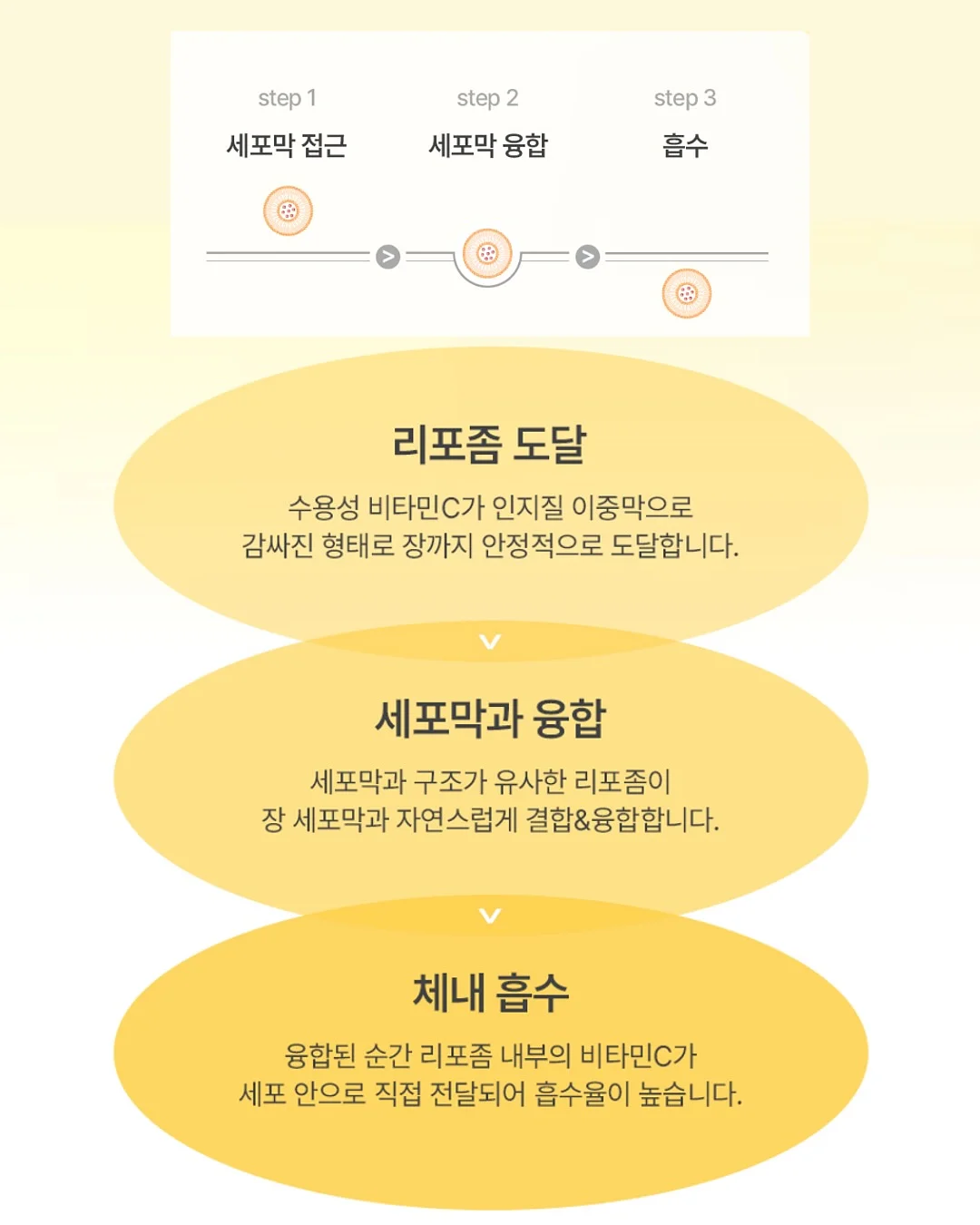 무전원 펌프식 쵸퍼 13