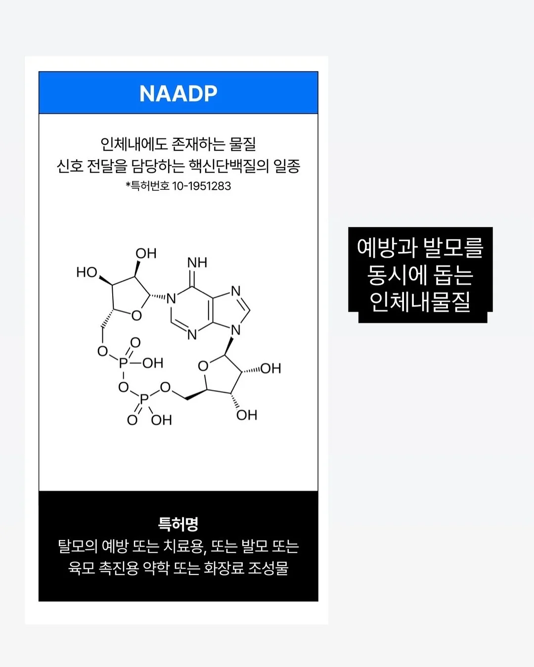 가디건 원피스 12