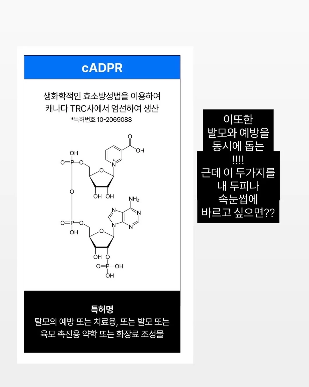 가디건 원피스 13