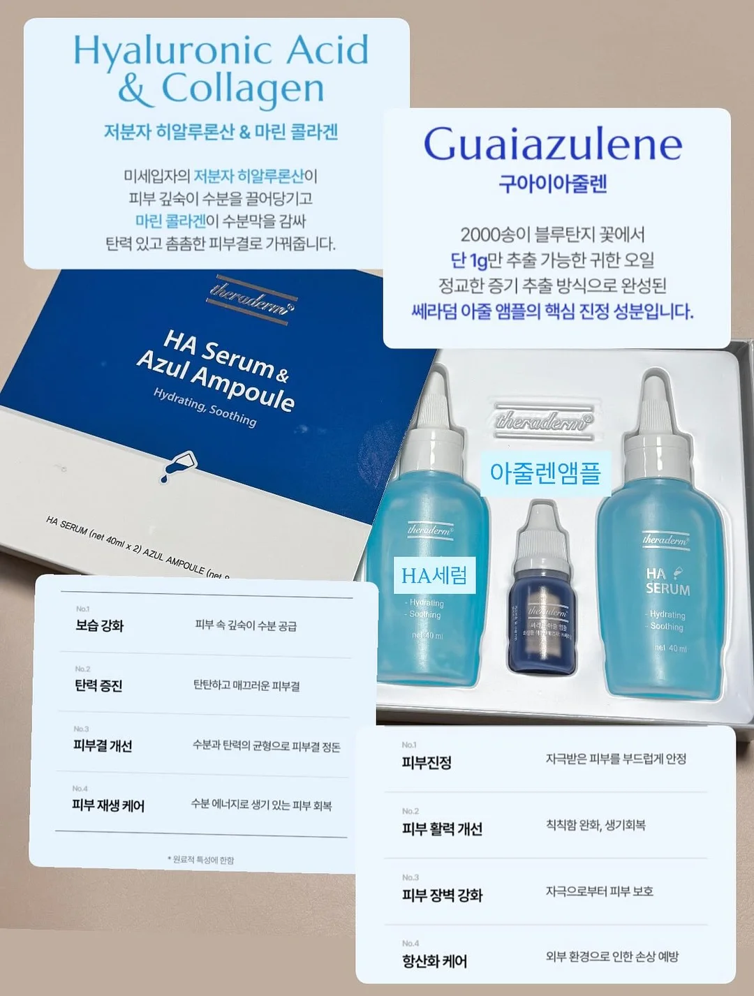 아크릴 셸 조개 보관함 3
