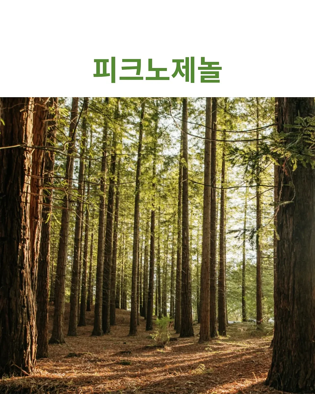 블루필 넥쿨러 3