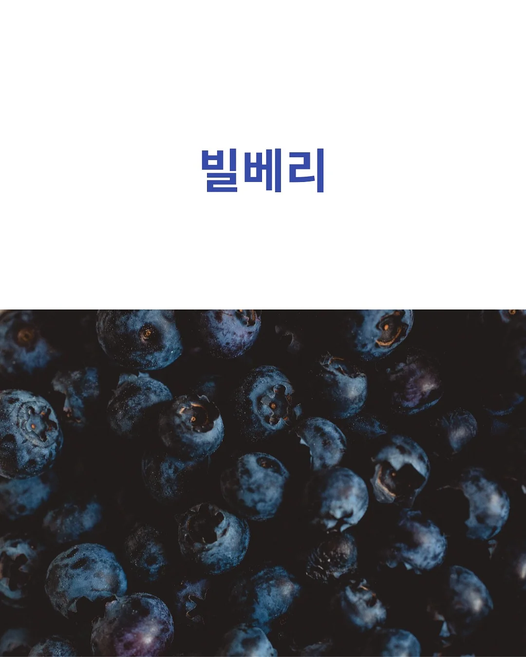 블루필 넥쿨러 5