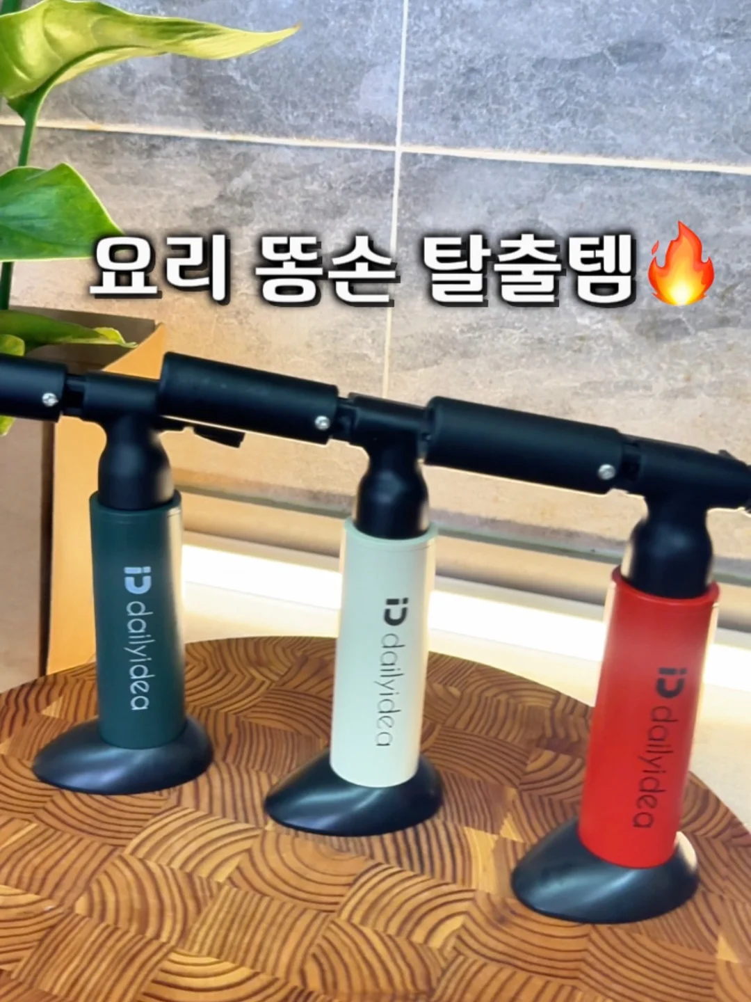 쉘터글루 1
