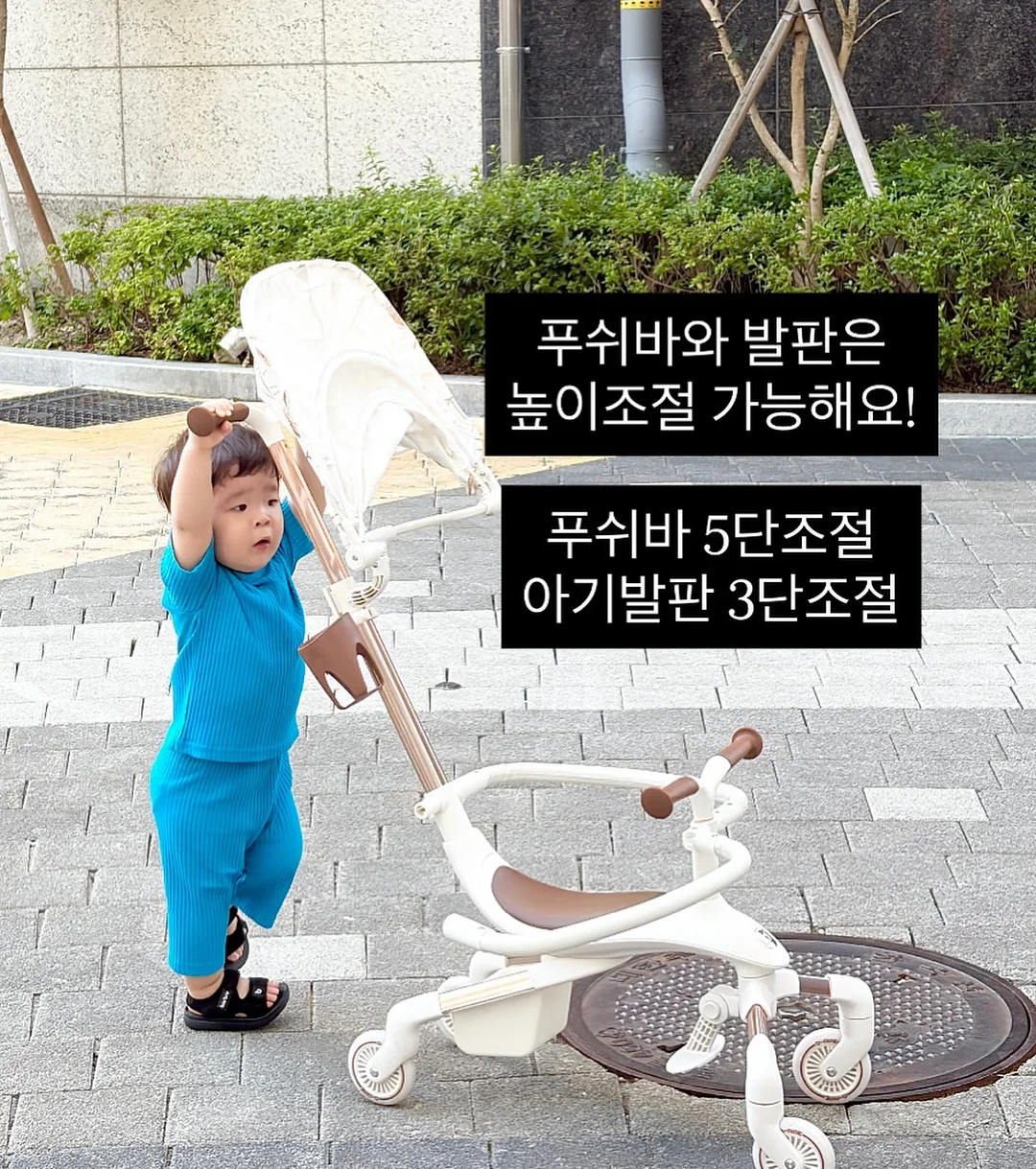 두피 스케일링 5