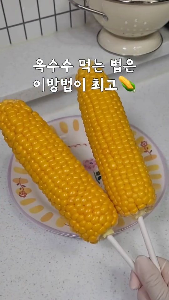 세계철학전집 - 다산 정약용 편