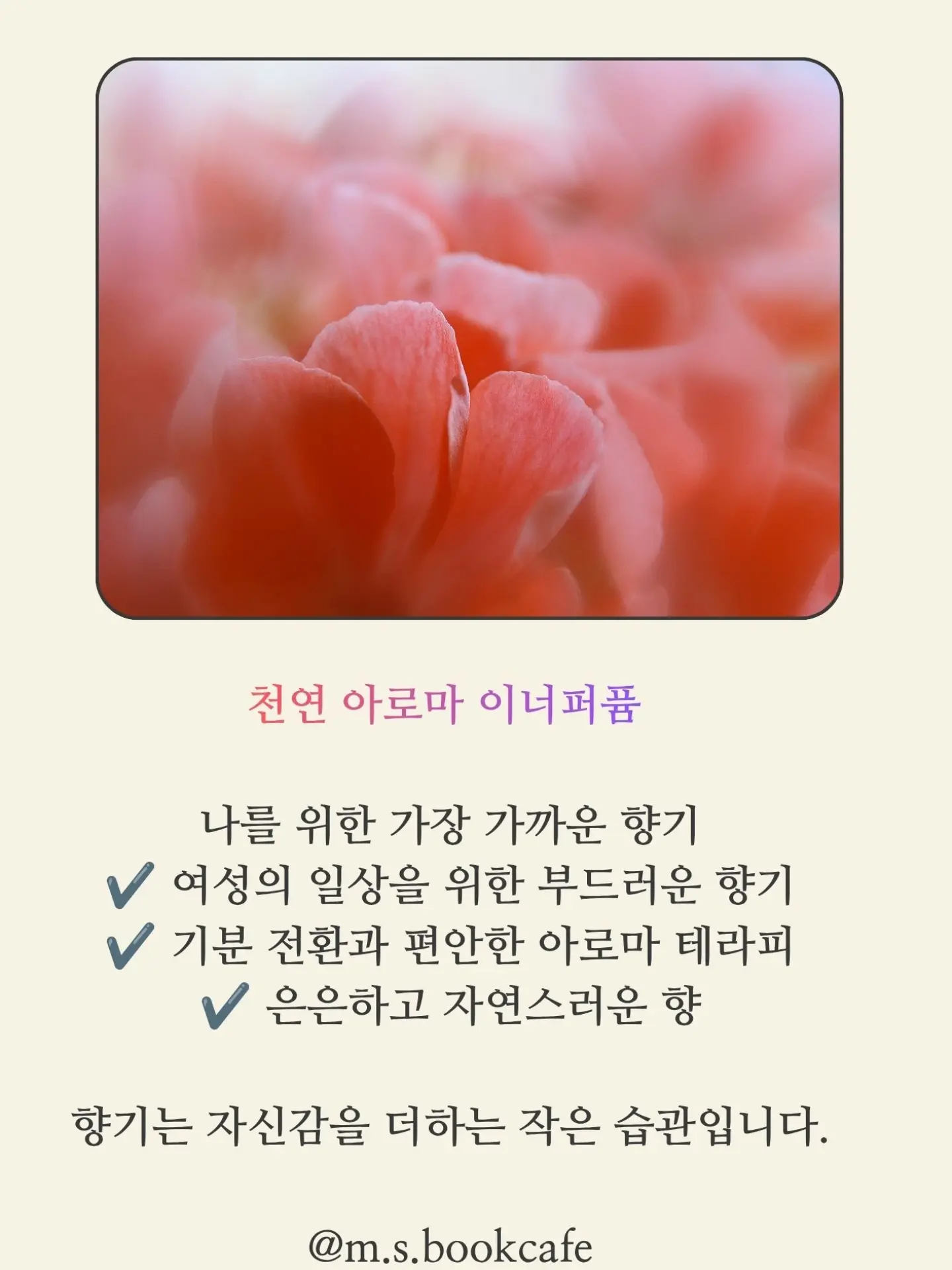 전신 스트레칭 기구 겸용 의자 3