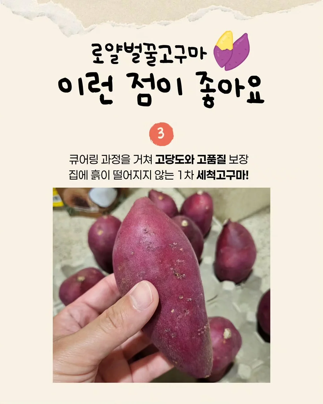 생과일 착즙기 5
