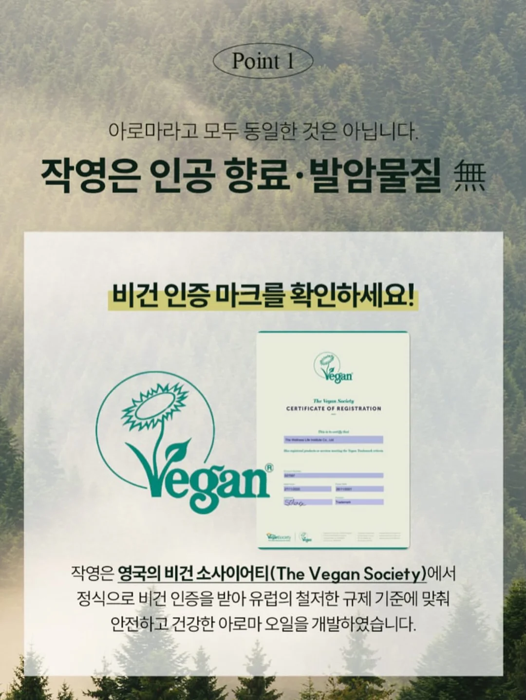 외국영화 주인공 코디 11