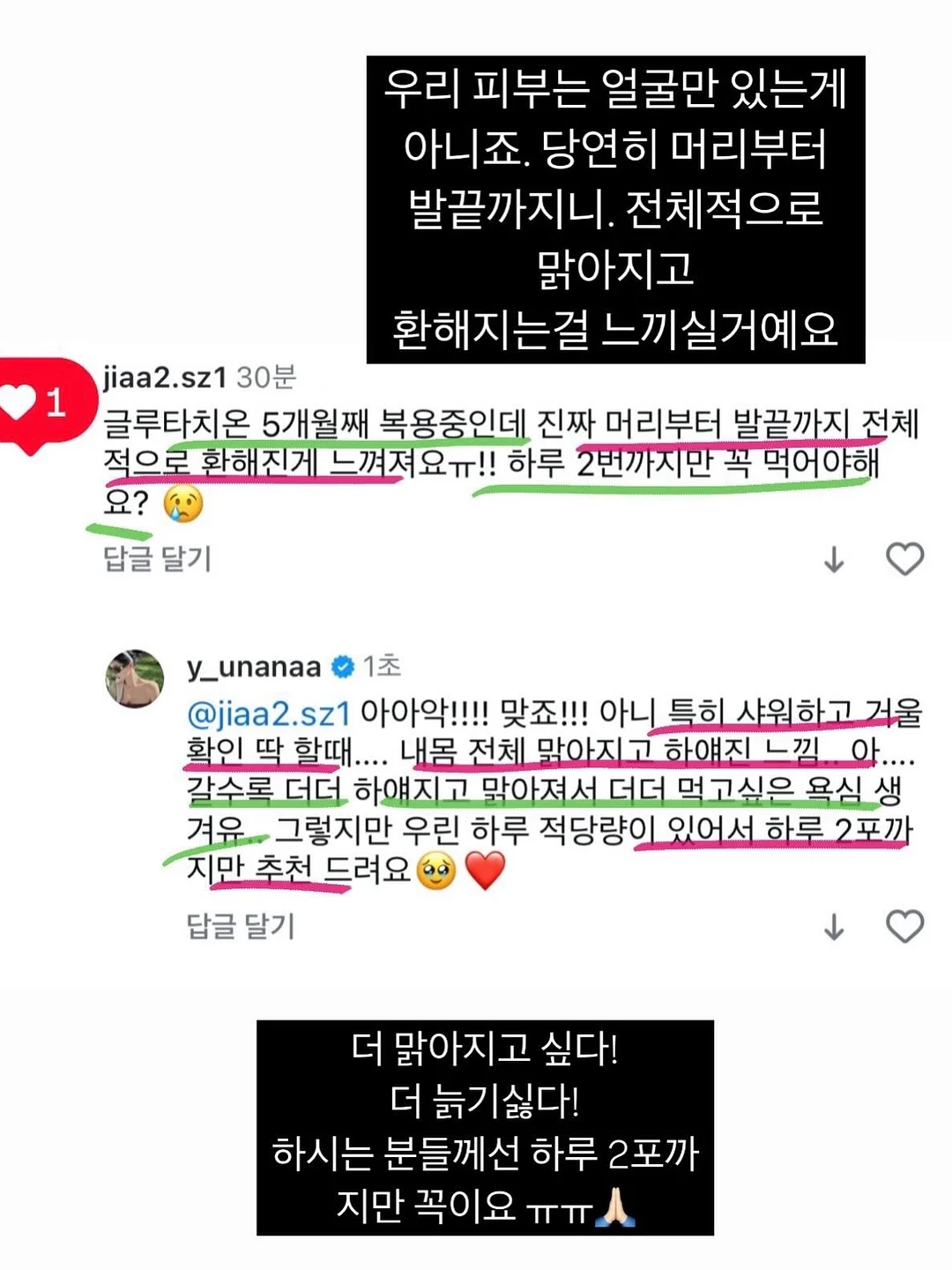 듀얼플랜 다이어트 유산균 12