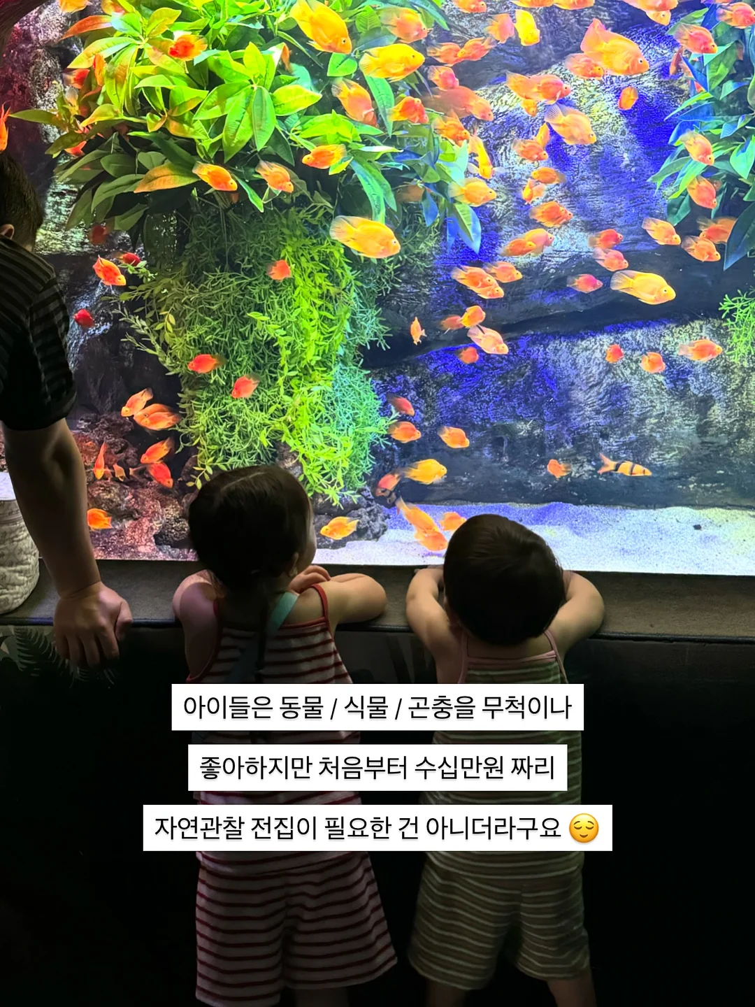 인견 고쟁이 바지 2