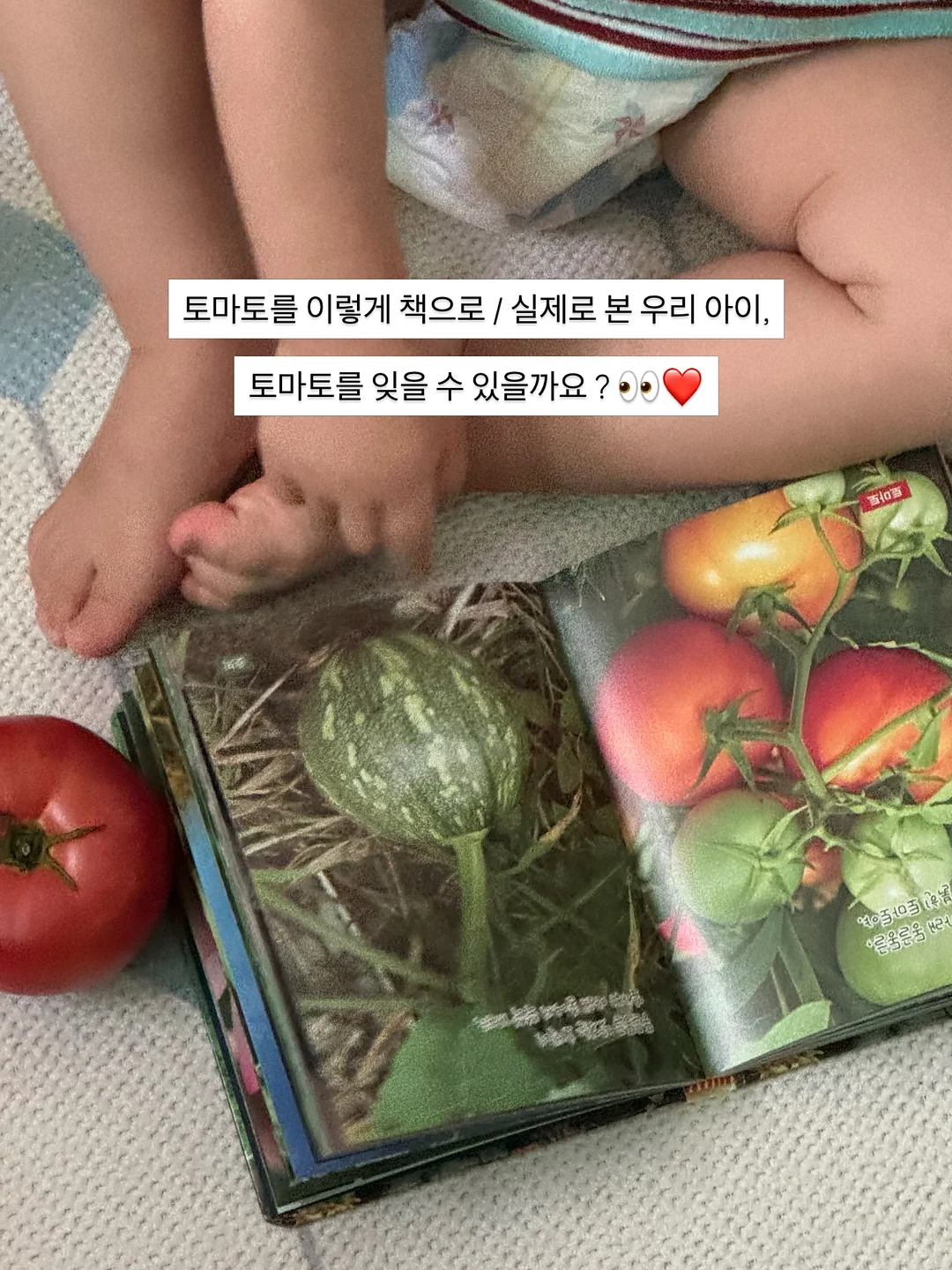 인견 고쟁이 바지 8