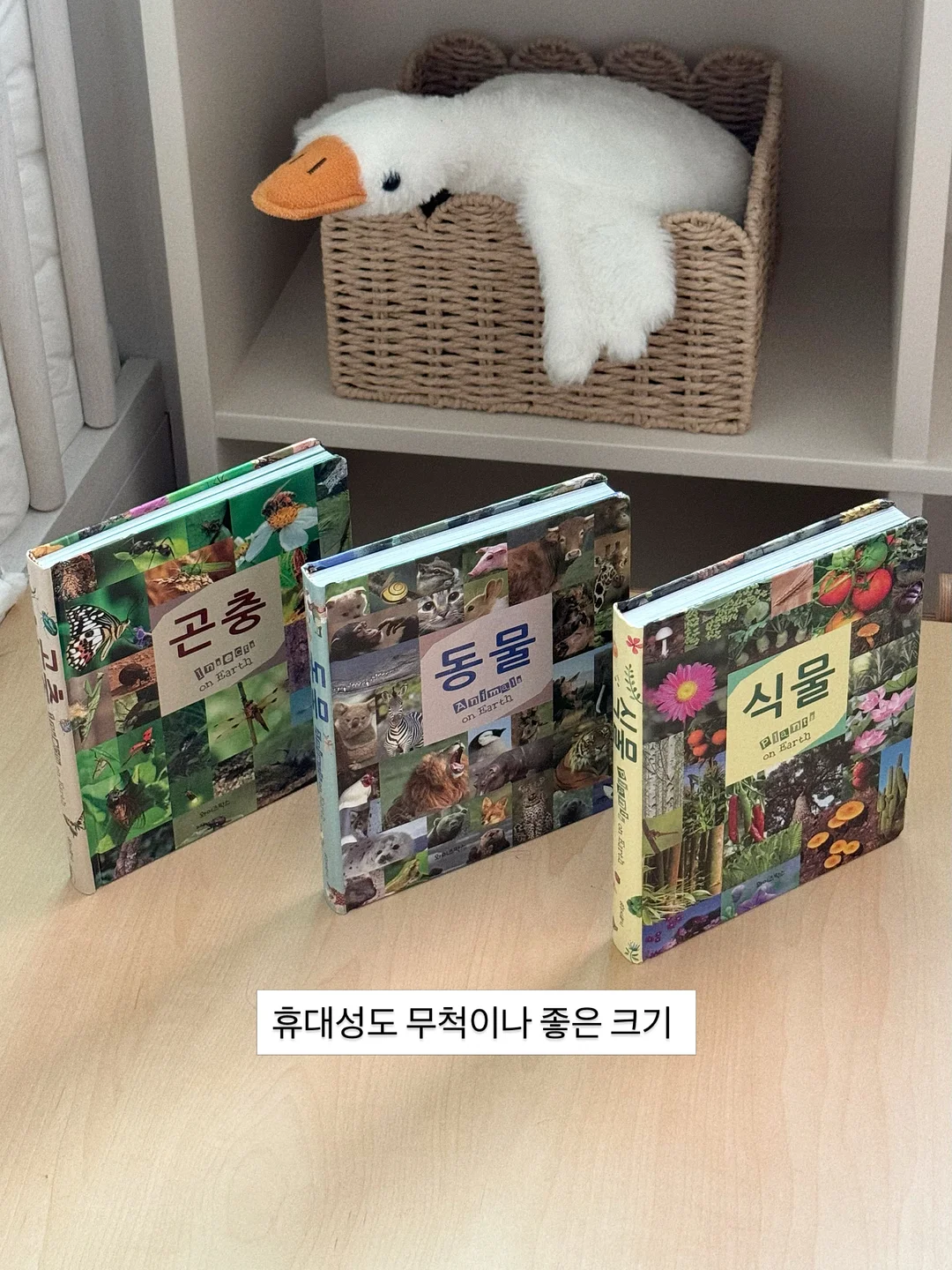 인견 고쟁이 바지 9