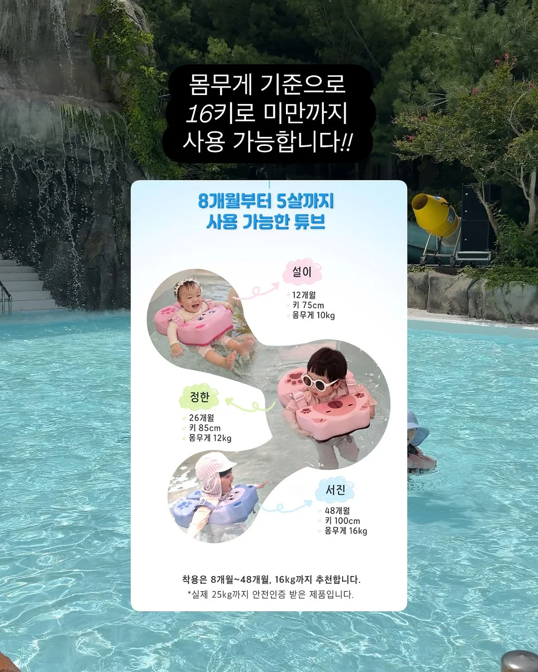 산초나무 15