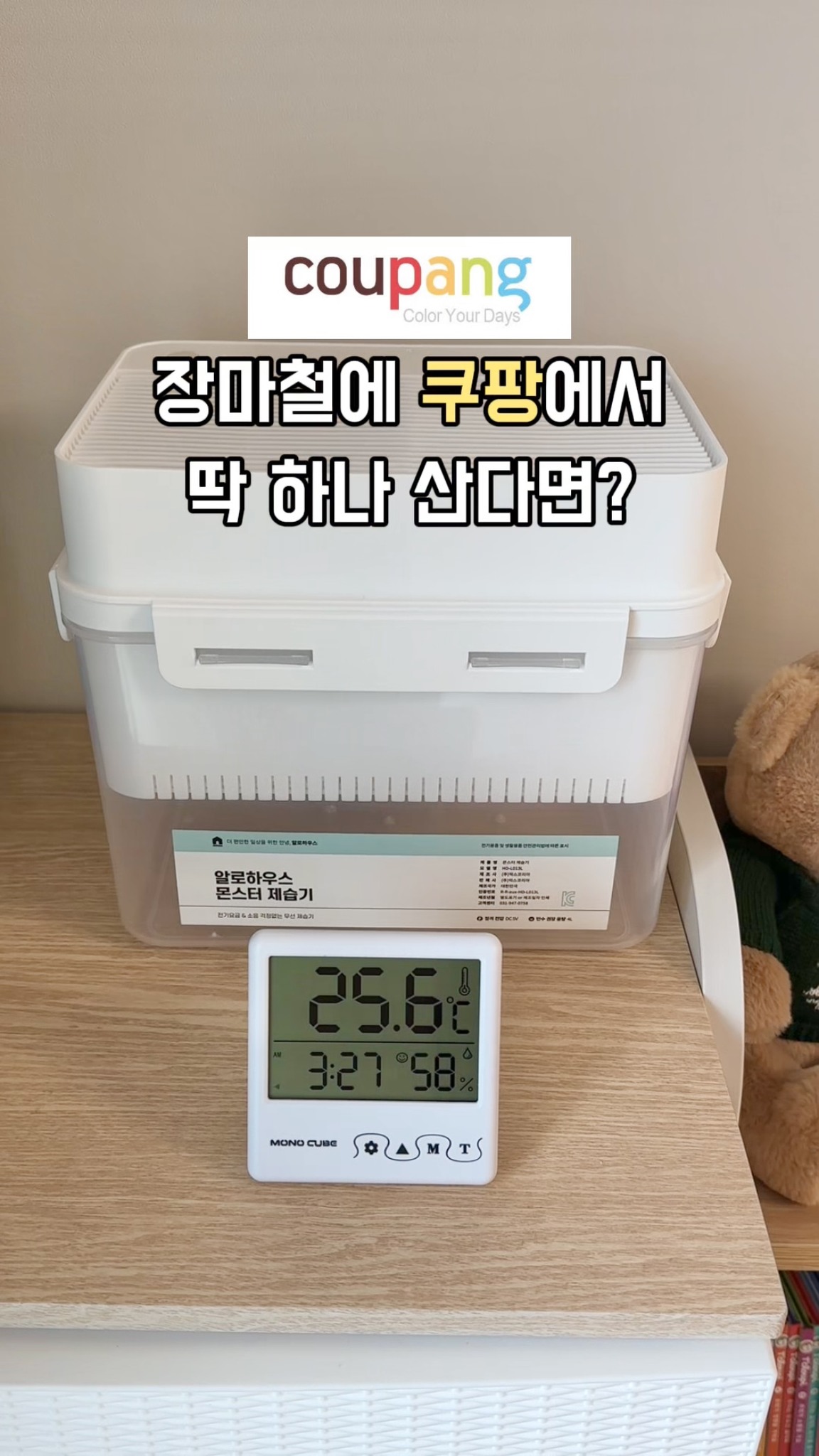 브런치식판 1+1
