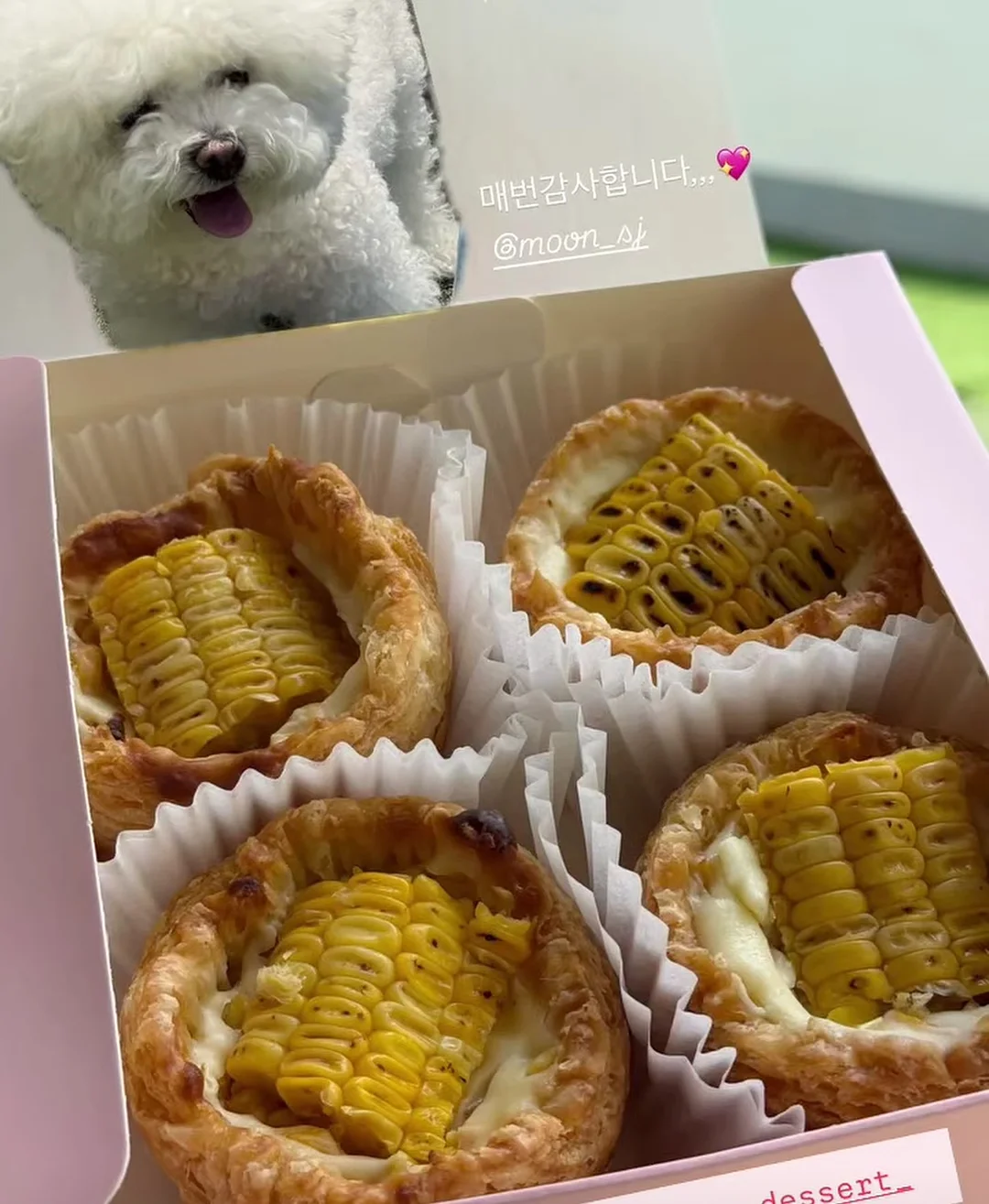 비눗방울 5
