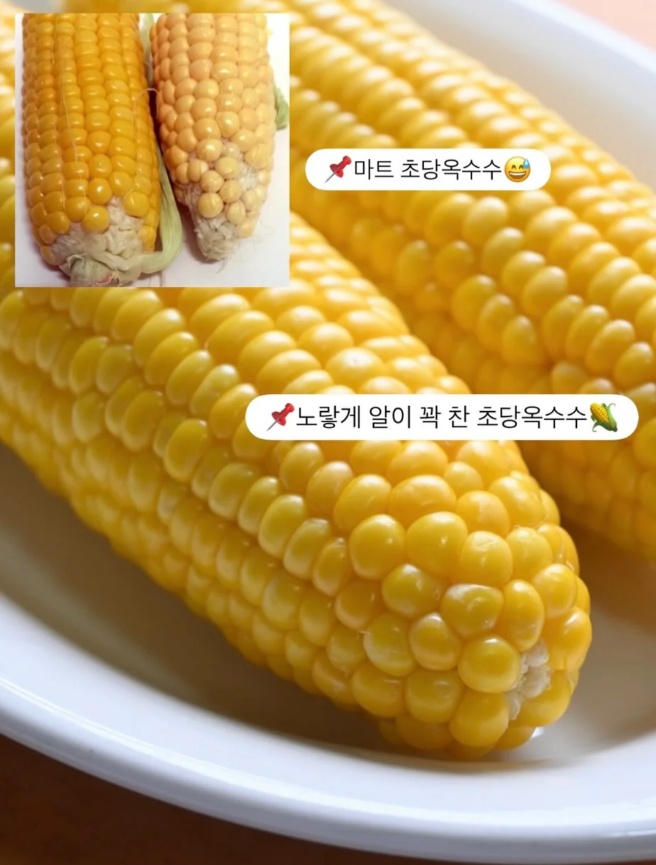 퇴원 방어 체크리스트 2