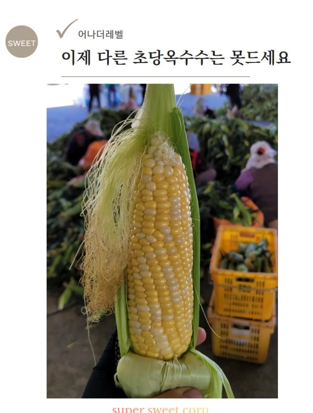 퇴원 방어 체크리스트 8