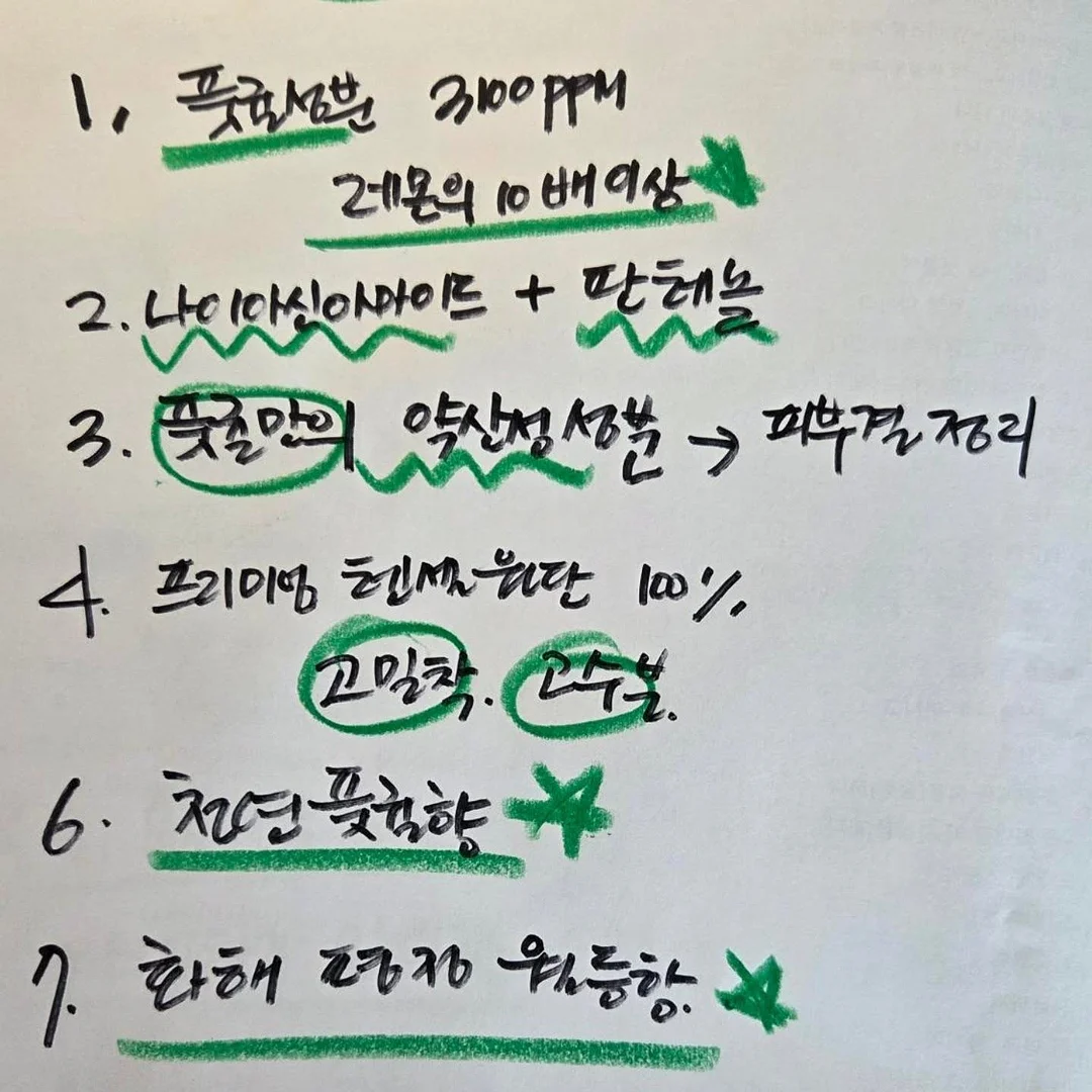 그린그린 원석 10