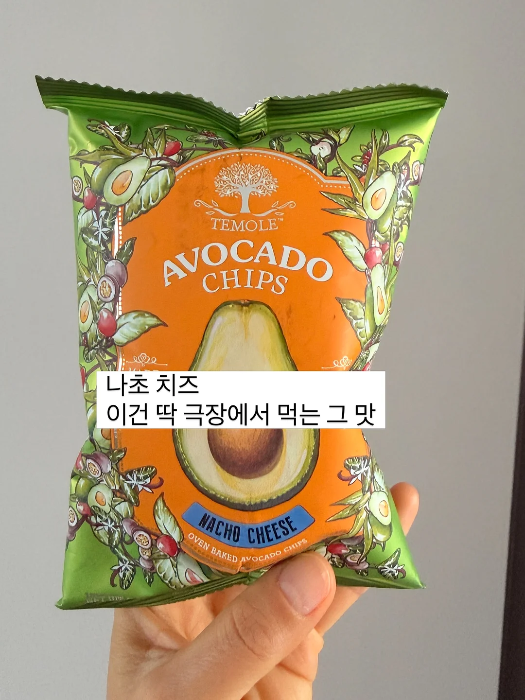 웹툰이라는 전쟁터 5