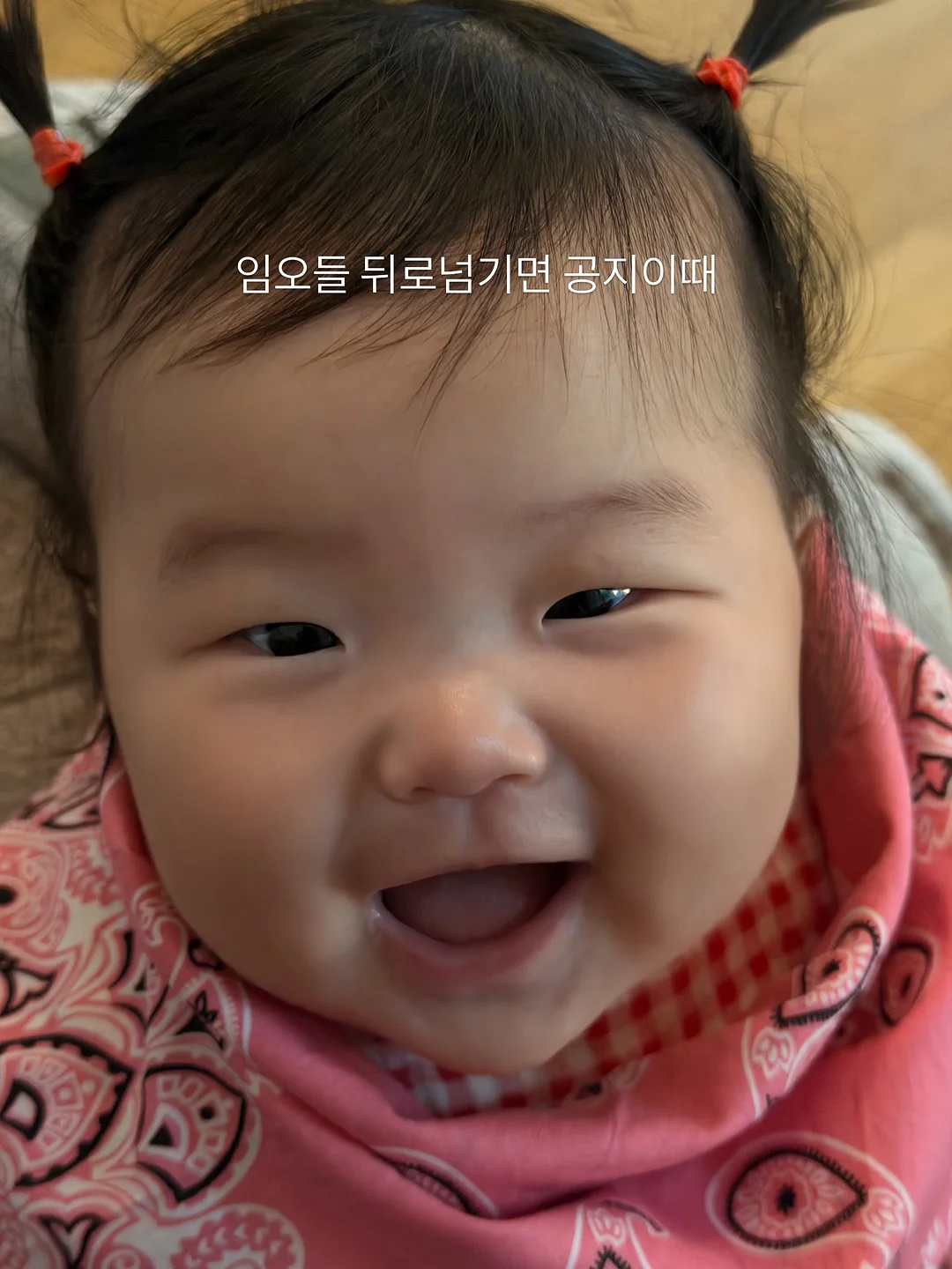 감성 홈시네마 스크린 2