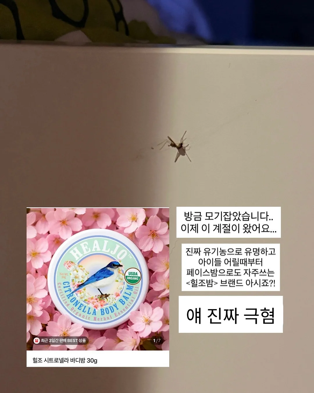 골드앤그린 2