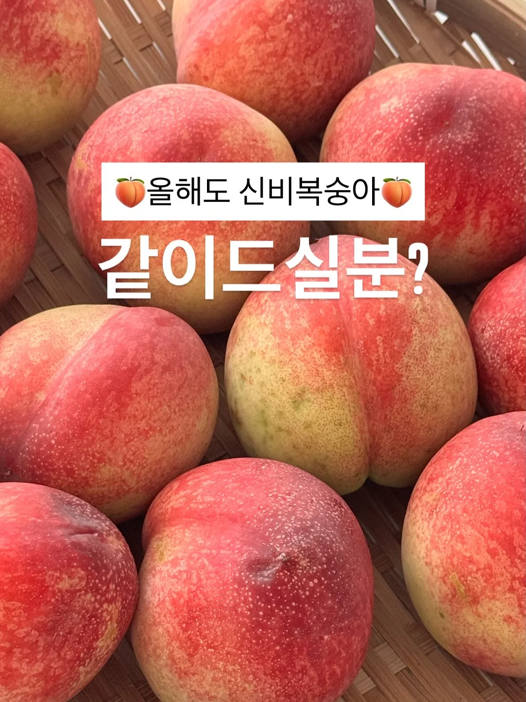 매실청 1