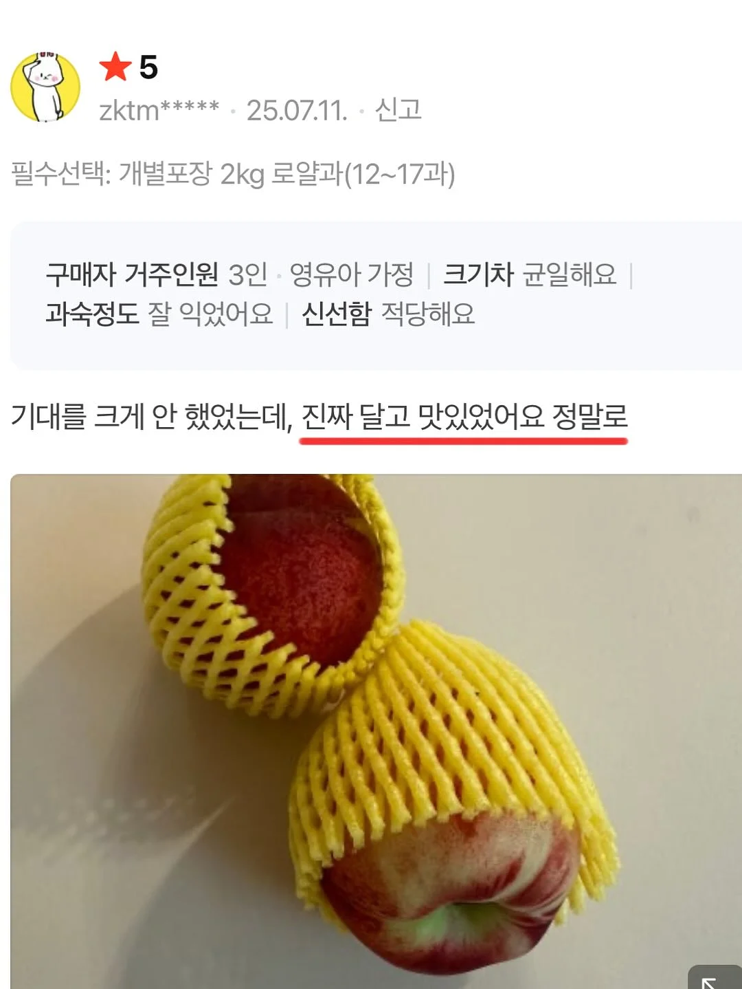 매실청 11