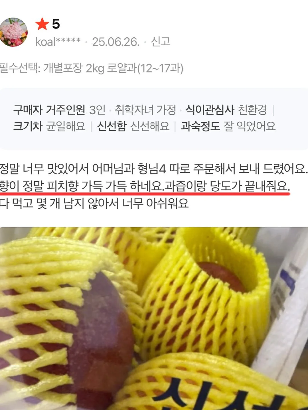 매실청 12